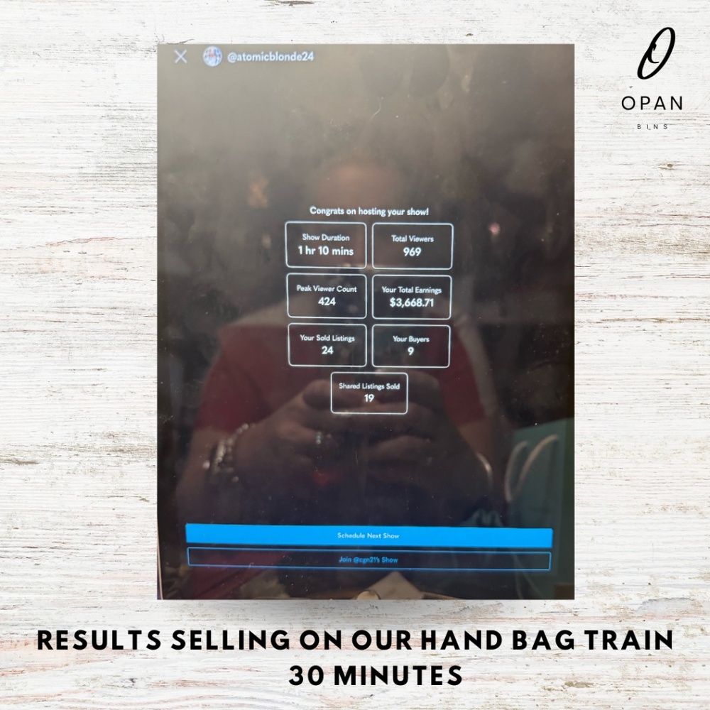 The Opan Bins Luxury Handbag Train | Thursday DECEMBER 18th - Picture 3 of 4